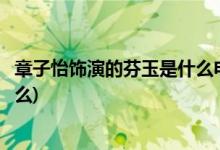 章子怡饰演的芬玉是什么电影(章子怡饰演的芬玉的电影叫什么)