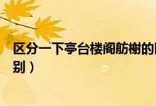 区分一下亭台楼阁舫榭的区别（区分一下亭台楼阁舫榭的区别）