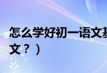 怎么学好初一语文基础知识（怎么学好初一语文？）