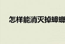 怎样能消灭掉蟑螂（去蟑螂的有效办法）