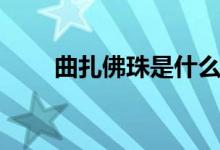 曲扎佛珠是什么（曲扎念珠是什么）