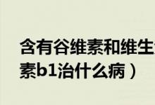 含有谷维素和维生素b1食物（谷维素和维生素b1治什么病）