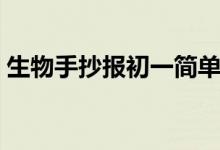 生物手抄报初一简单好画（生物手抄报初一）