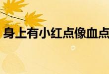 身上有小红点像血点（身上有小血点怎么办）