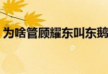 为啥管顾耀东叫东鹅(为什么管顾耀东叫东鹅)