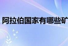 阿拉伯国家有哪些矿产（阿拉伯国家有哪些）