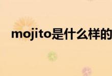 mojito是什么样的酒（motito是什么酒）