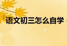 语文初三怎么自学（如何自学初三语文？）