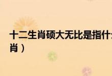 十二生肖硕大无比是指什么生肖（说它多大有多大是什么生肖）