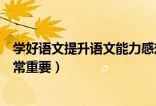 学好语文提升语文能力感想（怎样学好语文？语文的学习非常重要）