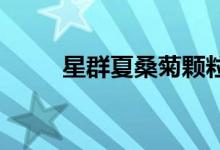 星群夏桑菊颗粒在哪里能买到正品