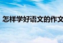 怎样学好语文的作文400字（怎样学好语文）