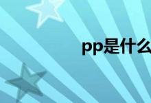 pp是什么（pp是什么）