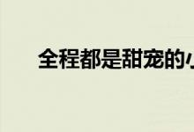 全程都是甜宠的小说（小说甜宠有肉）
