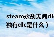 steam永劫无间dlc怎么用（永劫无间steam独有dlc是什么）