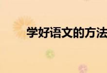 学好语文的方法（学好语文怎样做）