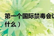 第一个国际禁毒会议（第一个国际禁毒会议是什么）