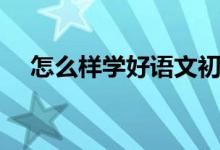 怎么样学好语文初中（怎么样学好语文）
