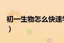 初一生物怎么快速学好（初一生物怎么学好？）