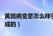 黄斑病变是怎么样引起的（黄斑病变是怎么造成的）