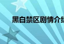 黑白禁区剧情介绍(黑白禁区剧情结局)