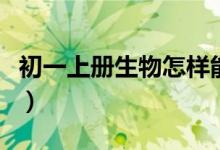 初一上册生物怎样能学好（初一生物怎么学好）