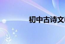 初中古诗文教与学获得途径