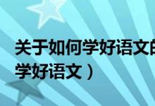 关于如何学好语文的演讲稿300字（关于如何学好语文）
