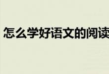 怎么学好语文的阅读理解（怎么学好语文？）