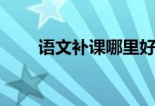 语文补课哪里好（补习语文哪里好）