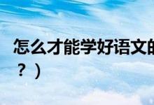 怎么才能学好语文的基础（怎么才能学好语文？）