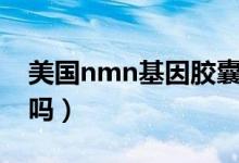 美国nmn基因胶囊（美国nmn基因胶囊有用吗）