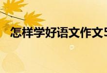 怎样学好语文作文500字（怎样学好语文）
