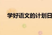 学好语文的计划日记（学好语文的计划）