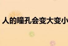 人的瞳孔会变大变小(瞳孔变大是怎么回事)