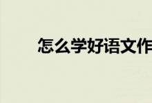 怎么学好语文作文（怎么学好语文）