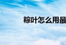 粽叶怎么用最好（粽叶怎么用）