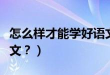 怎么样才能学好语文阅读（怎么样才能学好语文？）