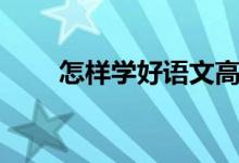 怎样学好语文高中（怎样学好语文）