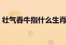 壮气吞牛指什么生肖（壮气吞牛是什么生肖）