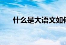 什么是大语文如何学（什么是大语文）