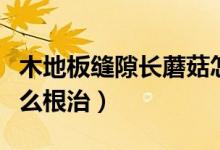 木地板缝隙长蘑菇怎么处理（木地板长蘑菇怎么根治）