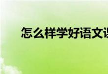 怎么样学好语文课（怎么样学好语文）