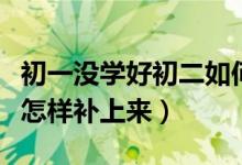 初一没学好初二如何补上来（初一基础差初二怎样补上来）