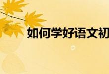 如何学好语文初中（如何学好语文）