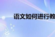 语文如何进行教学（怎样教学语文）
