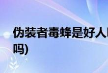 伪装者毒蜂是好人吗(伪装者毒蜂是反派角色吗)