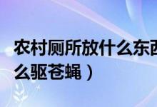 农村厕所放什么东西不生苍蝇（农村厕所放什么驱苍蝇）