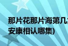 那片花那片海第几集认亲(那片花那片海康宁安康相认哪集)