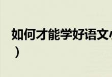 如何才能学好语文小学（如何才能学好语文？）